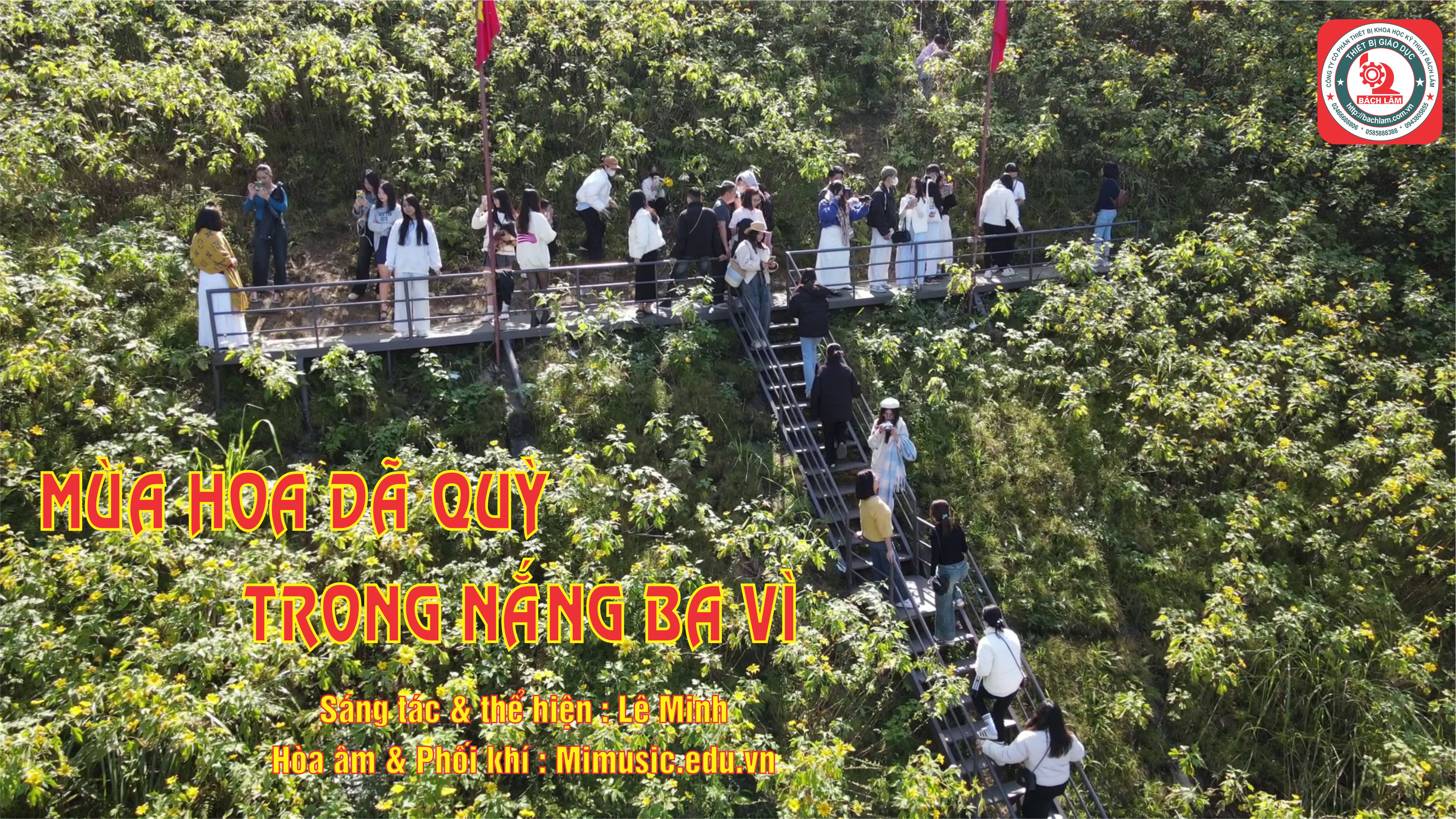 Mùa Hoa Dã Quỳ Trong Nắng Ba Vì